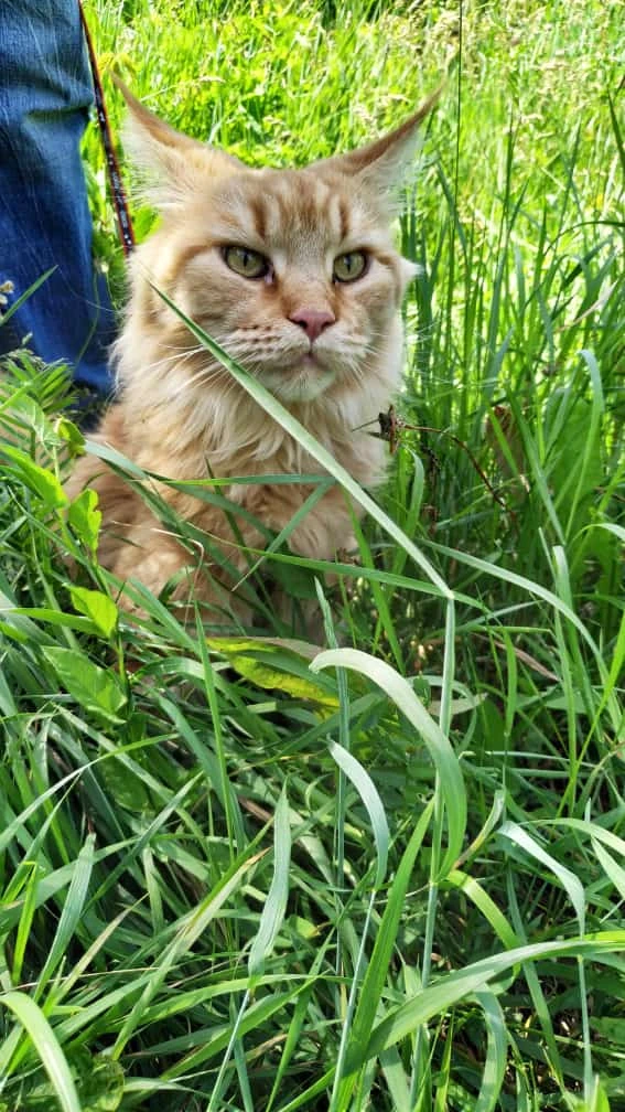 Марина